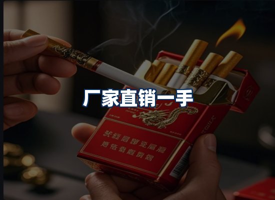 专业团队办公环境